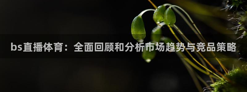 bs直播体育：全面回顾和分析市场趋势与竞品策略