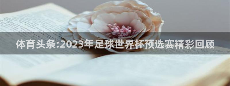 体育头条:2023年足球世界杯预选赛精彩回顾