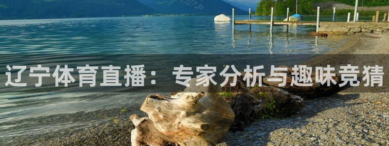 辽宁体育直播：专家分析与趣味竞猜