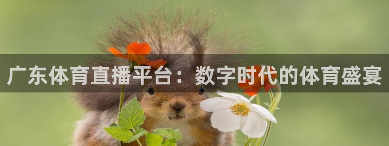 广东体育直播平台：数字时代的体育盛宴