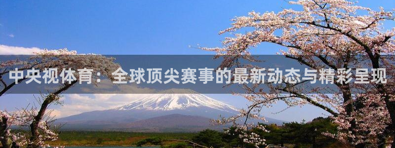 中央视体育：全球顶尖赛事的最新动态与精彩呈现
