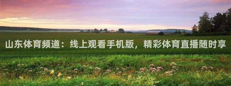 山东体育频道：线上观看手机版，精彩体育直播随时享