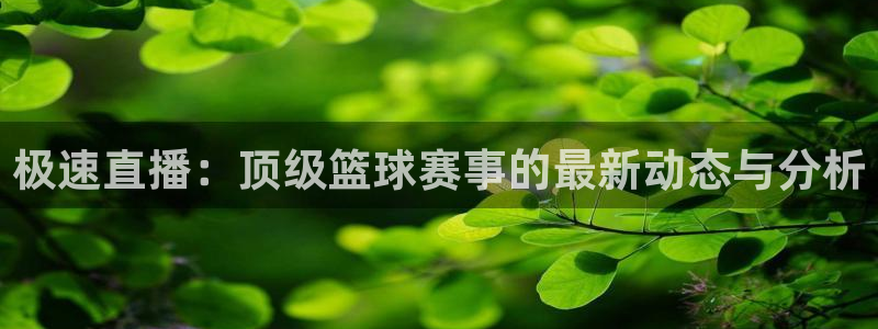 极速直播：顶级篮球赛事的最新动态与分析