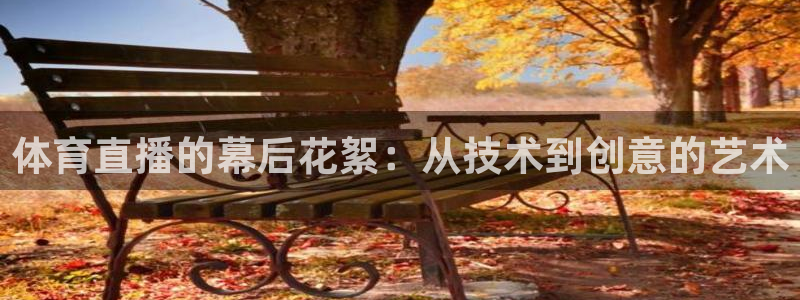 体育直播的幕后花絮：从技术到创意的艺术