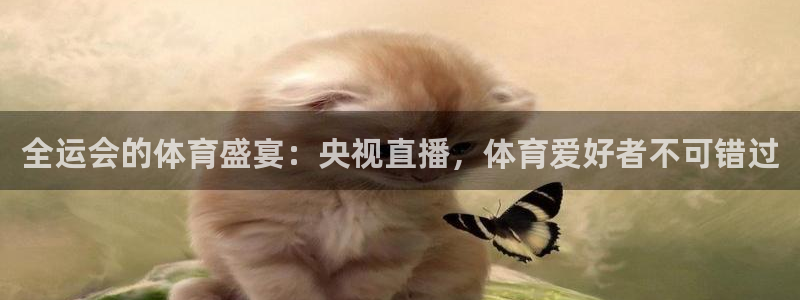 全运会的体育盛宴：央视直播，体育爱好者不可错过