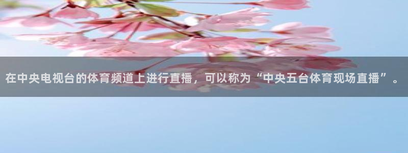 在中央电视台的体育频道上进行直播，可以称为“中央五台体育现场直播”。