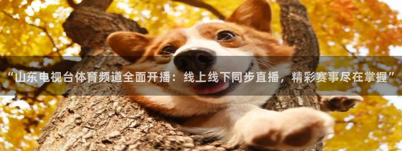 “山东电视台体育频道全面开播：线上线下同步直播，精彩赛事尽在掌握”