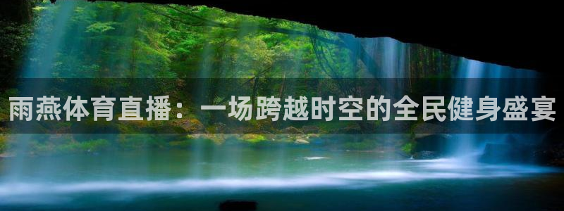 雨燕体育直播：一场跨越时空的全民健身盛宴