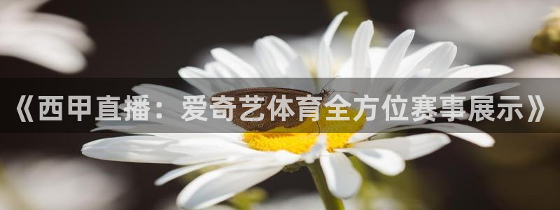 《西甲直播：爱奇艺体育全方位赛事展示》