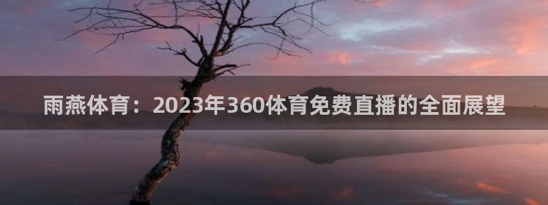 雨燕体育：2023年360体育免费直播的全面展望