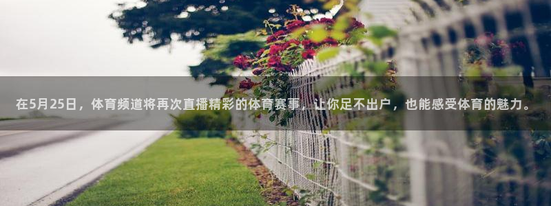 在5月25日，体育频道将再次直播精彩的体育赛事，让你足不出户，也能感受体育的魅力。