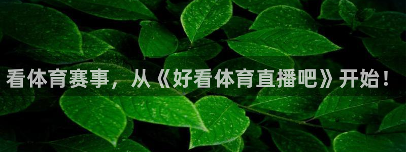 看体育赛事，从《好看体育直播吧》开始！
