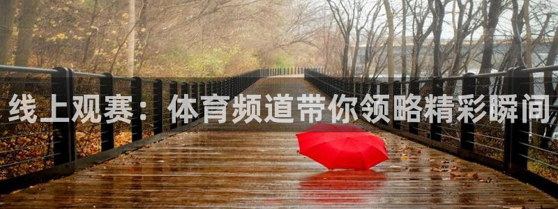 线上观赛：体育频道带你领略精彩瞬间