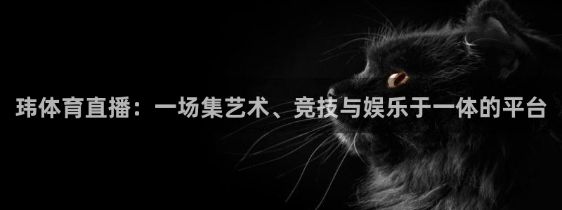 玮体育直播：一场集艺术、竞技与娱乐于一体的平台