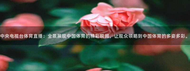 中央电视台体育直播：全景展现中国体育的精彩瞬间，让观众领略到中国体育的多姿多彩。