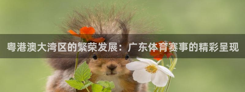 粤港澳大湾区的繁荣发展：广东体育赛事的精彩呈现