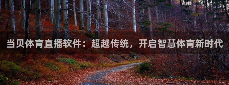 当贝体育直播软件：超越传统，开启智慧体育新时代