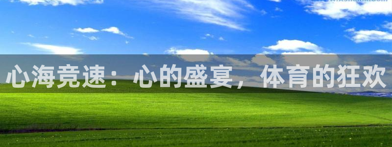心海竞速：心的盛宴，体育的狂欢